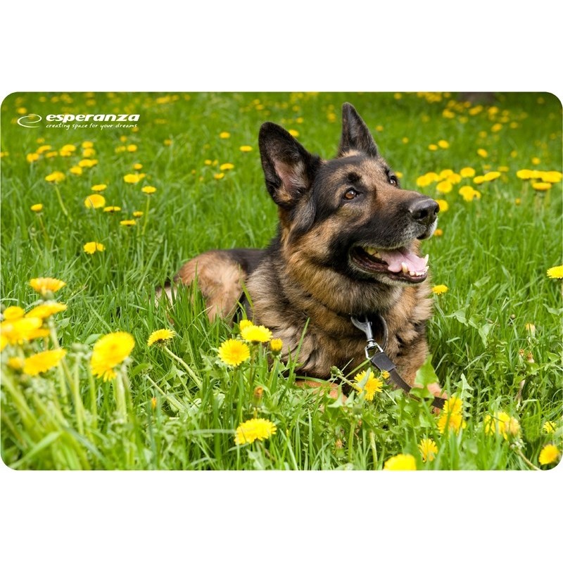 Esperanza EA133 mouse pad Multicolor Esperanza EA133 mouse pad Multicolor
