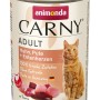 ANIMONDA Carny Adult Chicken, turkey, duck hearts - wet cat food - 400g