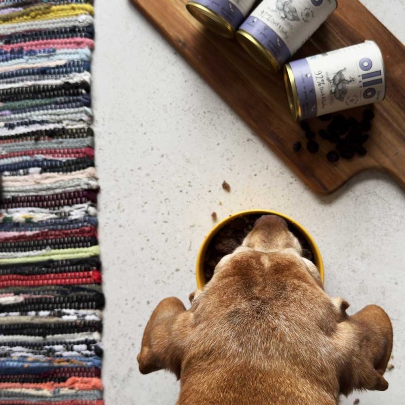 OLLO Umami Duck and turkey - wet dog food - 850g