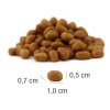 PLATINUM MeatCrisp Adult Fish - dry cat food - 1,5kg