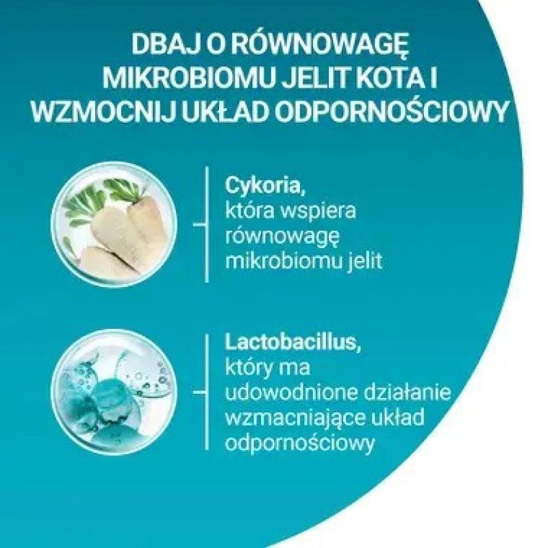 PURINA One Sterilcat Wołowina - dry cat food - 9,75kg PURINA One Sterilcat Wołowina - dry cat food - 9,75kg