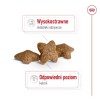 ROYAL CANIN Adult Mini S - dry dog food - 2kg ROYAL CANIN Adult Mini S - dry dog food - 2kg