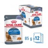 ROYAL CANIN FCN Light Weight Care in jelly - wet food for adult cats - 12x85g