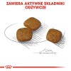 ROYAL CANIN Mini Urinary Care - dry dog food - 1 kg ROYAL CANIN Mini Urinary Care - dry dog food - 1 kg
