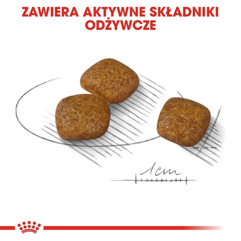 ROYAL CANIN Mini Urinary Care - dry dog food - 1 kg ROYAL CANIN Mini Urinary Care - dry dog food - 1 kg