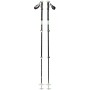 Black Diamond Expedition 3 - ski poles, 125–140 cm (green and black)