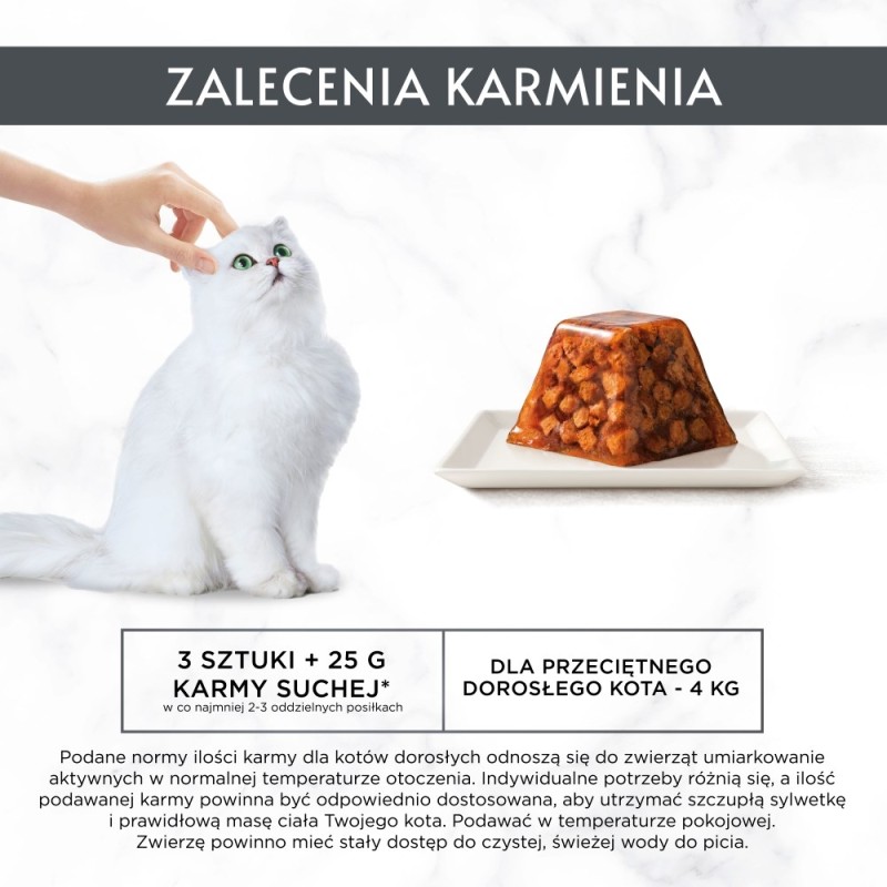 PURINA Cat Chow Kitten with lamb and zucchini in sauce - wet cat food - 26x85g (20 + 6 GRATIS)