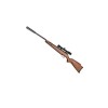 Air Rifle BEEMAN USA QUIET TEK m.1153 GAS RAM k.5.5 mm Air Rifle BEEMAN USA QUIET TEK m.1153 GAS RAM k.5.5 mm