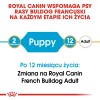 ROYAL CANIN French Bulldog Puppy - dry dog food - 3 kg ROYAL CANIN French Bulldog Puppy - dry dog food - 3 kg