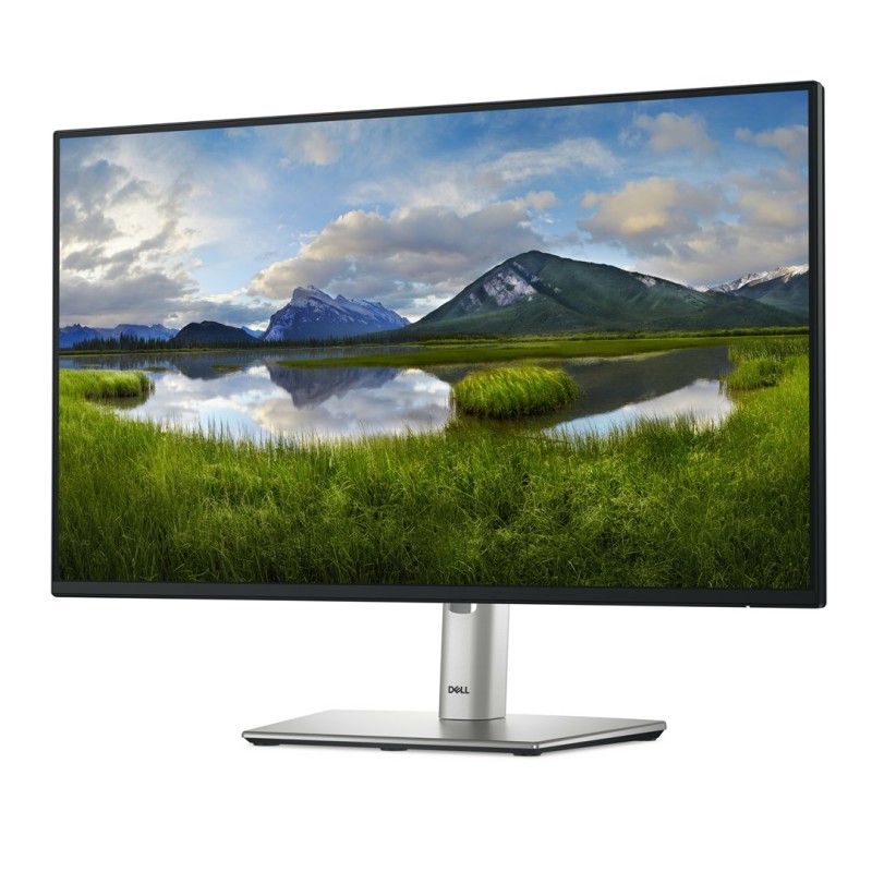 DELL P Series P2425HE computer monitor 61 cm (24 DELL P Series P2425HE computer monitor 61 cm (24
