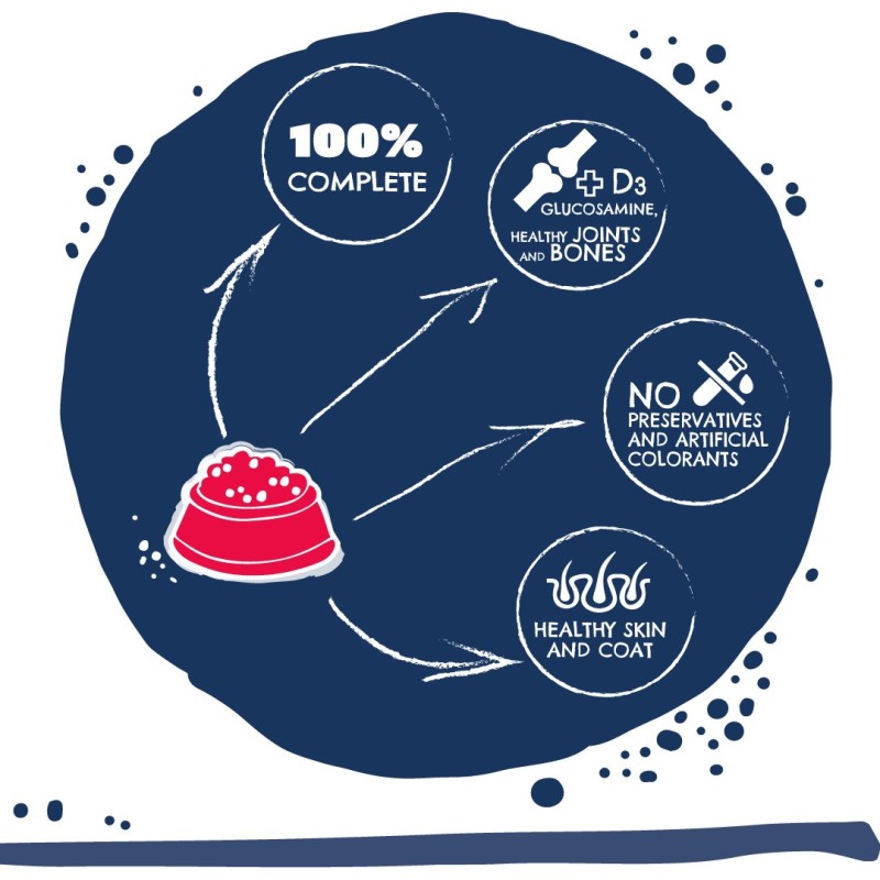 TEO Rich in beef - dry dog food - 15kg