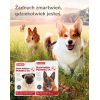 BOZITA Robur Sensitive Single Protein Lamb and Rice - dry dog food - 3kg BOZITA Robur Sensitive Single Protein Lamb and Rice - dry dog food - 3kg