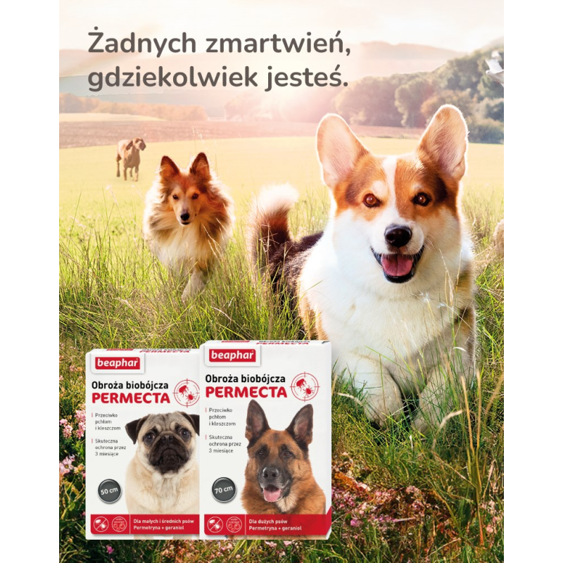 BOZITA Robur Sensitive Single Protein Lamb and Rice - dry dog food - 3kg BOZITA Robur Sensitive Single Protein Lamb and Rice - dry dog food - 3kg