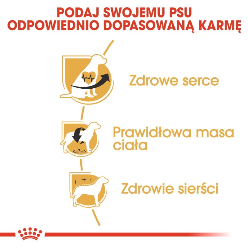 Dog Food Royal Canin SHN Breed Cavalier K C 1.5 kg Dog Food Royal Canin SHN Breed Cavalier K C 1.5 kg