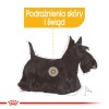 TASTE OF THE WILD Pacific Stream - dry dog food - 12,2 kg TASTE OF THE WILD Pacific Stream - dry dog food - 12,2 kg