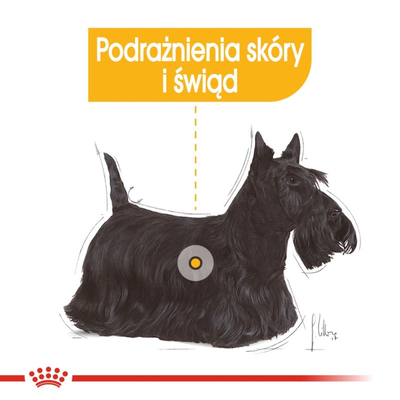 TASTE OF THE WILD Pacific Stream - dry dog food - 12,2 kg TASTE OF THE WILD Pacific Stream - dry dog food - 12,2 kg