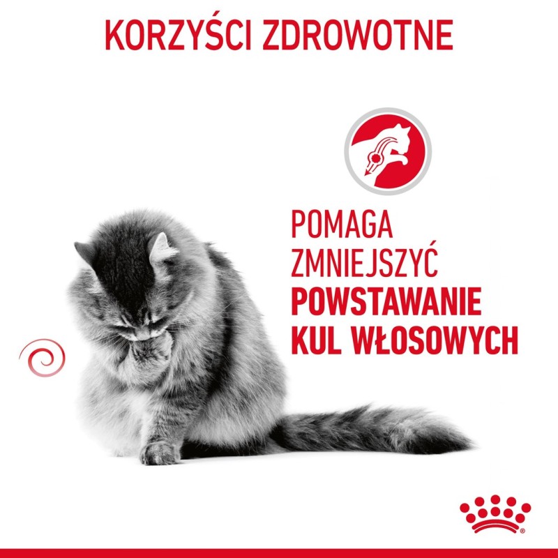 Royal Canin Hairball Care dry cat food 2 kg Royal Canin Hairball Care dry cat food 2 kg