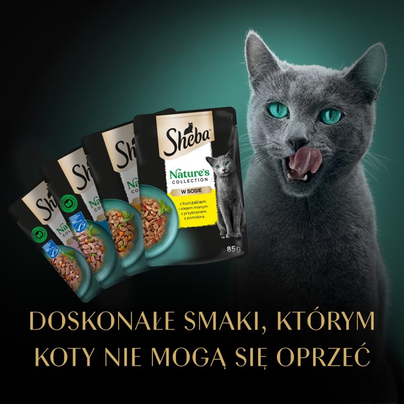 WHISKAS poultry fritters junior poultry, duck, turkey, chicken - wet cat food - 12x85 g WHISKAS poultry fritters junior poultry, duck, turkey, chicken - wet cat food - 12x85 g