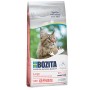 BOZITA Large Wheat free Salmon - dry food for large and long haired cats - 2kg