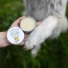 JM SANTE GREEN SANTE NATURALNA MAŚĆ NA ŁAPY 60 ml JM SANTE GREEN SANTE NATURALNA MAŚĆ NA ŁAPY 60 ml