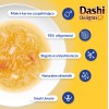 INABA CAT Dashi Delights Silky Broth Chicken with Salmon - cat treat - 40g