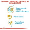 TRIXIE Eyewash for cats and dogs - 50 ml TRIXIE Eyewash for cats and dogs - 50 ml