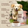 VET EXPERT Raw Paleo Healthy Grain Puppy Salmon and barley - dry dog food - 2 kg VET EXPERT Raw Paleo Healthy Grain Puppy Salmon and barley - dry dog food - 2 kg