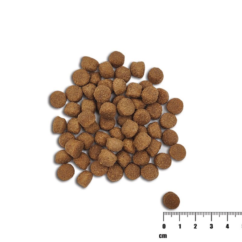 VET EXPERT Raw Paleo Healthy Grain Puppy Salmon and barley - dry dog food - 10 kg VET EXPERT Raw Paleo Healthy Grain Puppy Salmon and barley - dry dog food - 10 kg