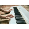 Casio CT-S1 Digital synthesizer 61 White Casio CT-S1 Digital synthesizer 61 White