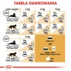 Royal Canin Persian cats dry food 4 kg Adult Maize, Poultry Royal Canin Persian cats dry food 4 kg Adult Maize, Poultry