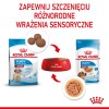 ROYAL CANIN SHN Medium Puppy in sauce - wet puppy food - 10x140g ROYAL CANIN SHN Medium Puppy in sauce - wet puppy food - 10x140g
