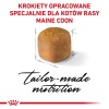 ROYAL CANIN Maine Coon Kitten - dry cat food - 2 kg ROYAL CANIN Maine Coon Kitten - dry cat food - 2 kg