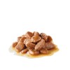 ROYAL CANIN Appetit Control pieces in sauce - wet cat food - 12 x 85g ROYAL CANIN Appetit Control pieces in sauce - wet cat food - 12 x 85g