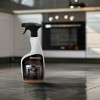 Frischer oven cleaner 1l