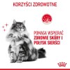 Royal Canin Hair & Skin Care cats dry food 4 kg Adult Royal Canin Hair & Skin Care cats dry food 4 kg Adult