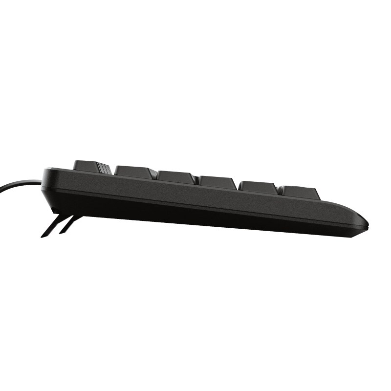 Trust Primo keyboard USB QWERTY US English Black Trust Primo keyboard USB QWERTY US English Black