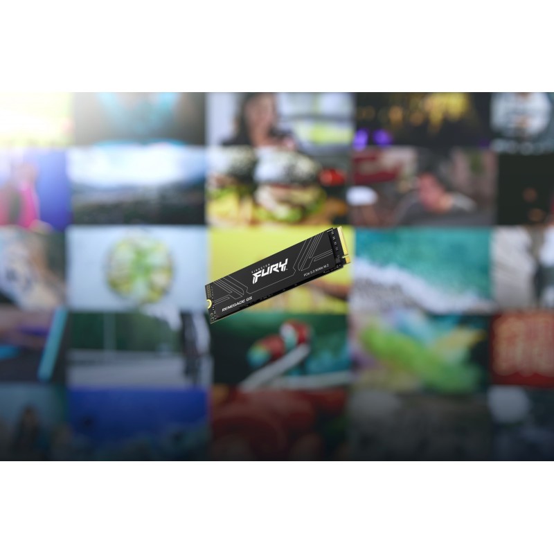 Kingston Technology 1T FURY RENEGADE G5 M.2 2280 NVMe SSD