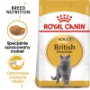 ROYAL CANIN FBN British Shorthair Adult dry cat food - 10 kg