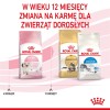 ROYAL CANIN Kitten - dry cat food - 2 kg ROYAL CANIN Kitten - dry cat food - 2 kg