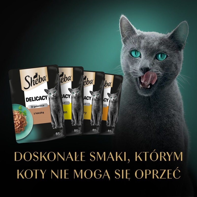 SHEBA Delicacy Poultry Flavours in jelly - wet cat food - 80x 85 g SHEBA Delicacy Poultry Flavours in jelly - wet cat food - 80x 85 g