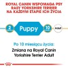 ROYAL CANIN Yorkshire Terrier Puppy - dry dog food - 1,5 kg ROYAL CANIN Yorkshire Terrier Puppy - dry dog food - 1,5 kg