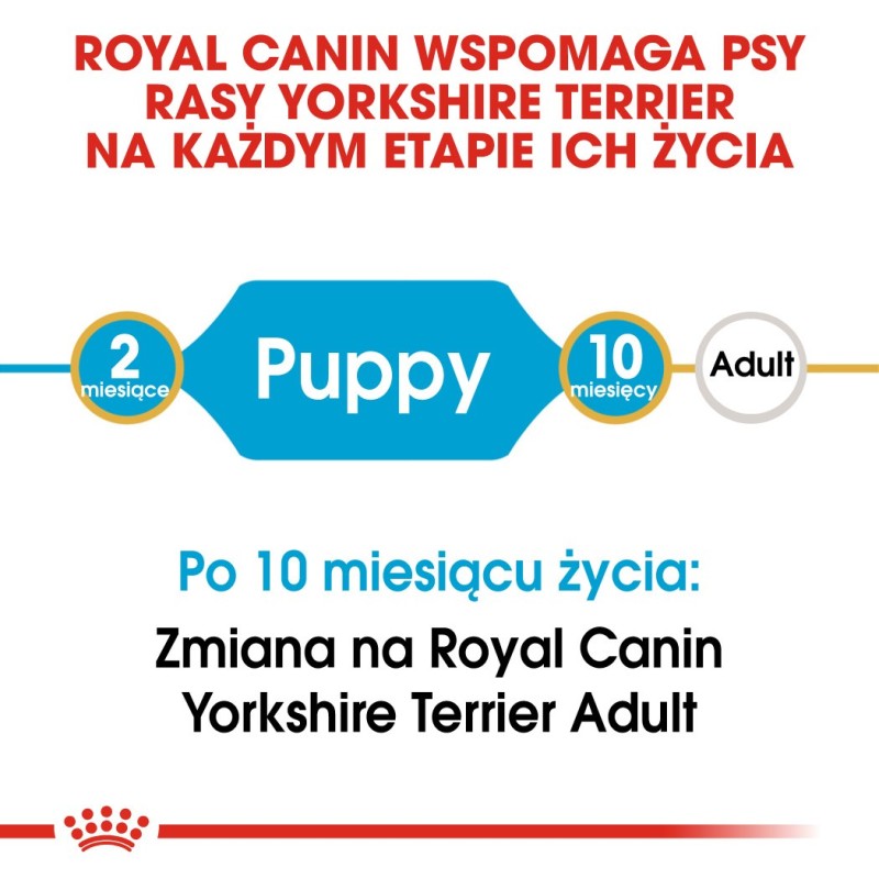 ROYAL CANIN Yorkshire Terrier Puppy - dry dog food - 1,5 kg ROYAL CANIN Yorkshire Terrier Puppy - dry dog food - 1,5 kg