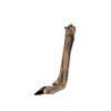 UNISZKI Roe deer hoof - dog treat - 1 UNISZKI Roe deer hoof - dog treat - 1