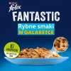 BRIT Care Fillets in Gravy salmon fillets in sauce - wet cat food - 85 g
