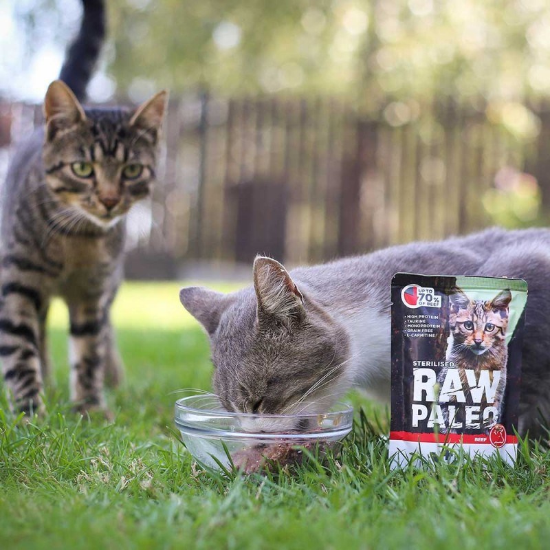 WIEJSKA ZAGRODA Kitten Turkey with chicken - dry cat food - 400g WIEJSKA ZAGRODA Kitten Turkey with chicken - dry cat food - 400g