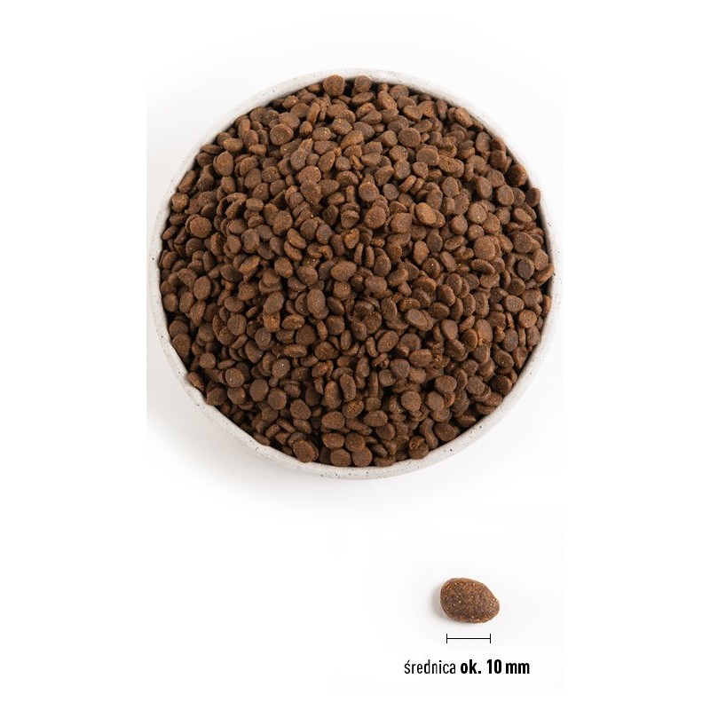 ORIJEN Cat Regional Red 1,8kg