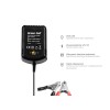 Green Cell ACAGM05 vehicle battery charger 2/6/12 V Black