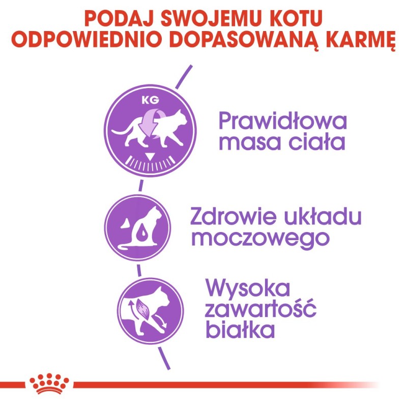 ROYAL CANIN Sterilised 37 - dry cat food - 10 kg ROYAL CANIN Sterilised 37 - dry cat food - 10 kg