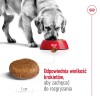 ROYAL CANIN Maxi Adult 5+ - dry dog food - 15 kg ROYAL CANIN Maxi Adult 5+ - dry dog food - 15 kg