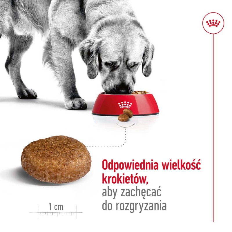 ROYAL CANIN Maxi Adult 5+ - dry dog food - 15 kg ROYAL CANIN Maxi Adult 5+ - dry dog food - 15 kg